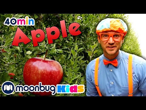 Learn About Apples With Blippi | Blippi | Learning Videos For Kids | Education Show For Toddlers