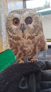 2.7M views · 125K reactions | 2021 was an exciting year here at the...