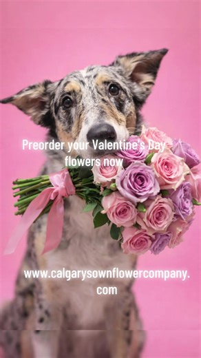 Pre-order your Valentine’s Day flowers now by visiting www.calgarysownflowercompany.com #valentinesday #love #flowers #yyc #local