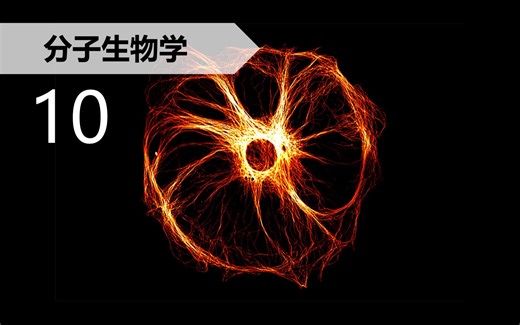 【分子生物学】10.6~10.7 核小体的组装