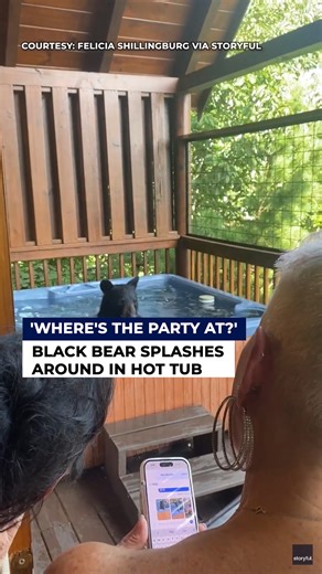 17M views · 191K reactions | A black bear was caught on video taking a dip in a hot tub at a Pigeon Forge, Tennessee rental while guests watched in surprise. READ MORE: bit.ly/4oHjNnx | FOX 13 News - Tampa Bay | Facebook