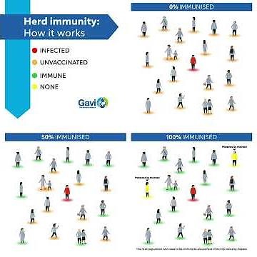 Herd immunity: How it works