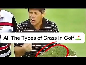 All The Types of Grass In Golf (and how to play them!)