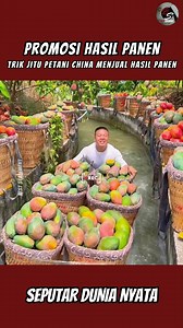18K views · 196 reactions | Cara Viral Petani China Jual Hasil Panen! #PetaniChina #TrikPromosi #PanenLangsung #PertanianModern #IdeCerdasPetani | Best Statement | Facebook