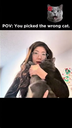 Cat YELLING ANGRY😾gone MAD😱 #meancats #catsarejerks