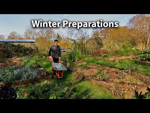 Preparing our Vegetable Garden for Winter