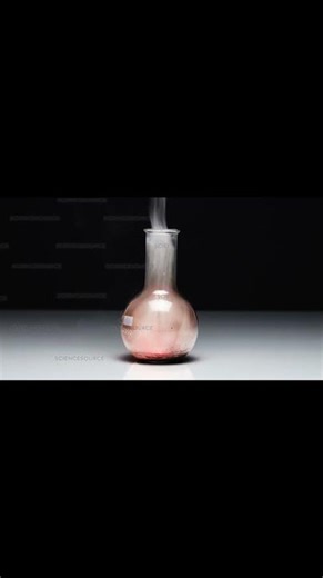 Potassium burns in chlorine #experiment #science