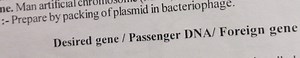 :- Prepare by packing of plasmid in bacteriophage. Desired gene... | Filo