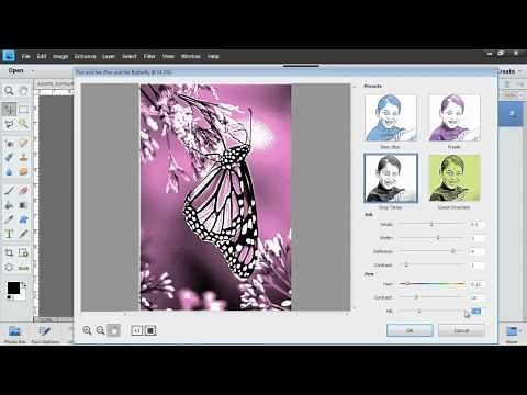 Photoshop Elements 11: Pen and Ink Filter