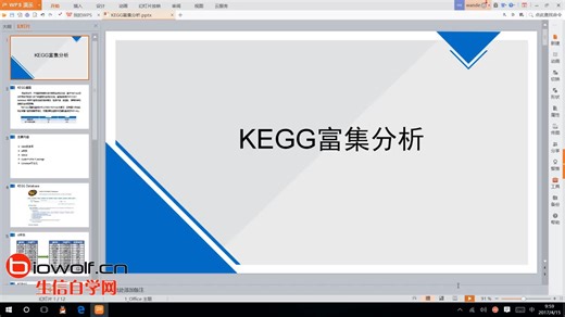 KEGG富集分析生物信息学视频生信分析