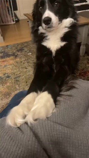 Did you know | TeamCasp47