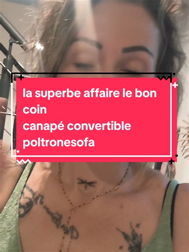 Superbes affaires sur Le Bon Coin : Canapés à prix doux