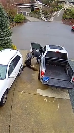 15K views · 50 reactions | football seasons can't come sooner | FailArmy | Facebook