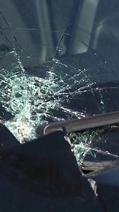 Auto repair shops see spike in deer-related damage