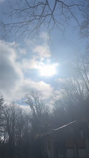 ella 🐝 on Instagram: "i ❤️ forest pooping (& you should too!) your stool is free lab work, you can tell a lot from it. don’t dismiss it as ‘gross’ or unnecessary: if you care about your health, it has a lot to say! when you poop in the forest, you can inspect it a million times better than in a toilet bowl! i have been eating more nuts this holiday season. physically, i have felt great, but i have found more undigested particles in my stool. naturally, it is easy to imply the nuts have dampened