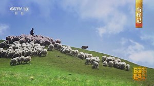 [中国影像方志]广河篇 当代记