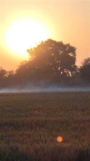 जहाँ वक्त ठहर जाता है... मेरे गाँव की एक सुनहरी शाम।सुकून का दूसरा नाम: गाँव की शाम।"