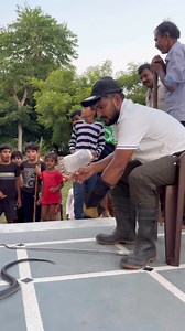 766K views · 8.4K reactions | आज तक सबसे खतरनाक rescue पेड़ के खोखले...