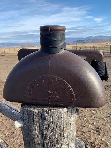 The Dally Dummy — The Dally Dummy