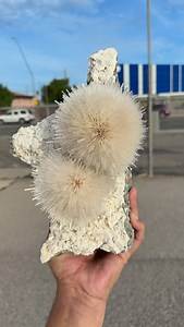 Jaw-dropping twin spheres showcasing massive Mesolite spikes, beautifully accented with Stilbite and Heulandite, dramatically perched on a solid, self-standing basalt base. A truly eye-catching and powerful formation, making this specimen a standout for any serious collector. 📍 From Pune, Maharashtra, India. | Superb Minerals