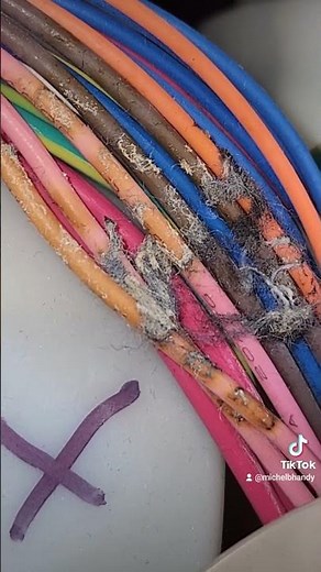 Bosch Dishwasher E07 #appliancerepair