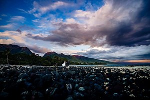 The 25  Most Popular Maui Wedding Venues [Updated for 2024!]