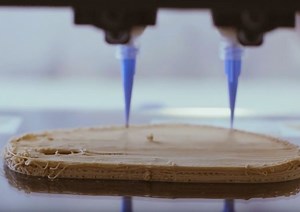 3D-printed mock meat and other edible tech showcased at Good Food Conference