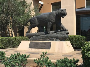 Conroe High's bronze tiger statue is moving on campus. Here's what to know.