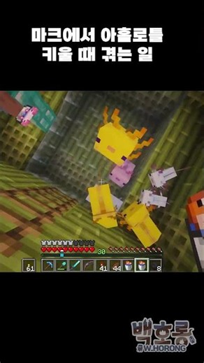 What It’s Like Raising an Axolotl in Minecraft [Minecraft] #minecraft
