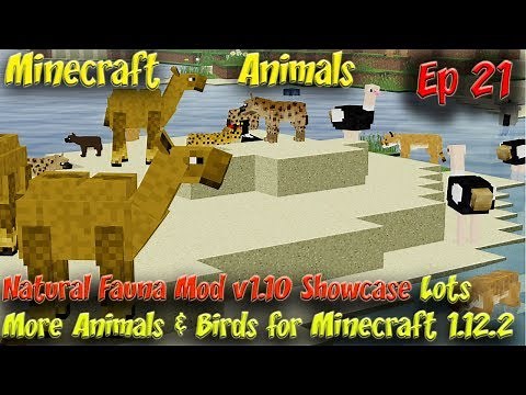 Natural Fauna Mod Animal Showcase v1.10 Minecraft Animals Ep21 Minecraft 1.12.2