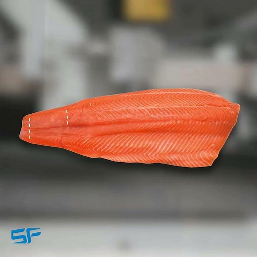 SF Engineering Marelec PORTIO waterjet portion fish cutter