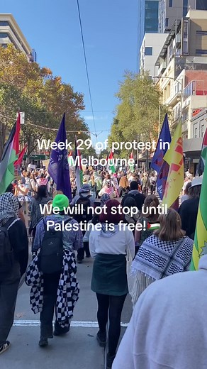 David Beazley70 (@david.beazley70)’s videos with original sound - David Beazley70