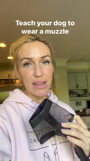 Teach your dog to wear a muzzle #dog #puppy #muzzletraining #dogtraining | MaligatorMom