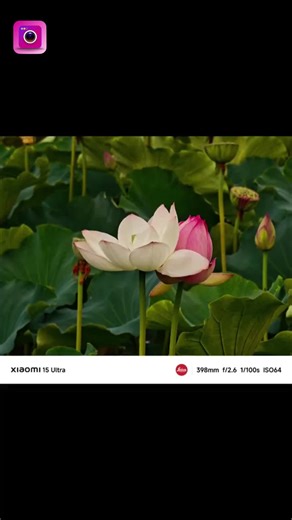 Best Simple HD Camera for Daily Photos and Selfies