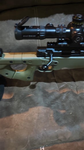 Accuracy International Arctic Warfare