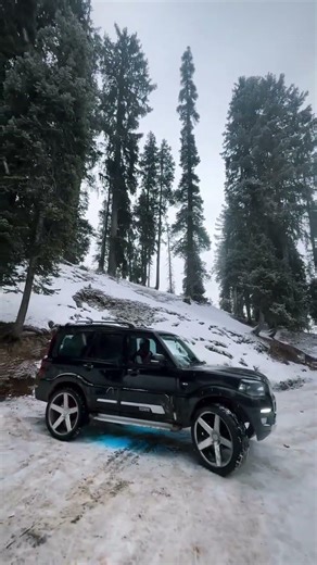 Madra k role 💪💪💪 #cars #mahindrascorpioclassic #musicgenre #scorpio #musicstyle #thar #mahaindra