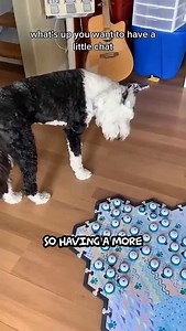 38K views · 1.6K reactions | Why adding a ‘more’ and ‘all done’ button is super important…check out EPISODE 2 of How to Build a Button Board - linked in my story! | Whataboutbunny | Facebook