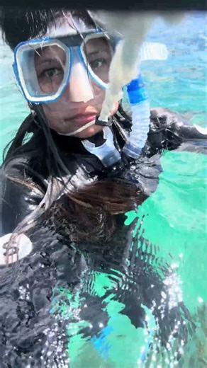 Underwater experience in NZ🇳🇿 #newzealand #snorkling #marineadventures #viralshort #underwater