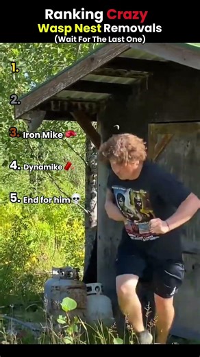 Ranking Crazy Wasp Nest Removals 😂💀