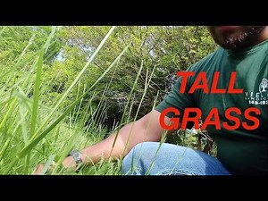 Como hacer un estimado de landscaping , tips de landscaping,