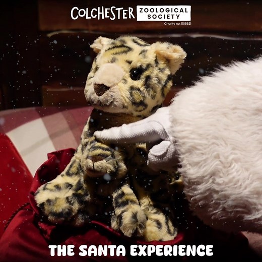 272 reactions · 33 shares |  Step into Santa’s magical world located within the Zoo on selected dates throughout November & December!  Limited tickets available so pre-book now to avoid missing out at https://www.colchesterzoologicalsociety.com/event/the-santa-experience/ *T&Cs apply. Admission not included. Tickets must be pre-booked in advance. | Colchester Zoo | Facebook