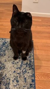 176K views · 510 shares | I got my tooth removed  | One eared uno | Facebook