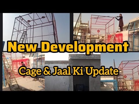 New Pigeon Cages Under Construction | Roof Setup and Net Installation