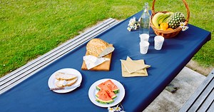 Elasticated Picnic Table Covers for bird poo free picnics!