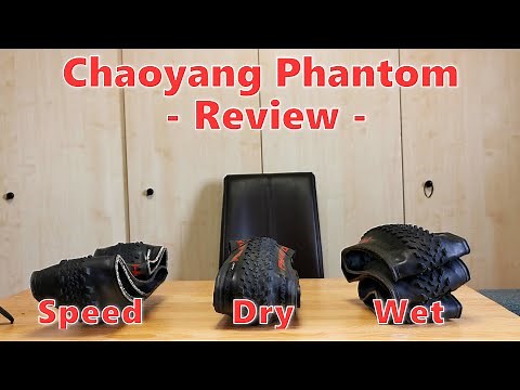 Chaoyang Phantom Review - Speed, Dry and Wet I Budget King?