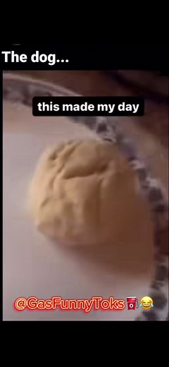 Hilarious Dog Fails: Funny Videos and Memes that Will Make You Cry with Laughter