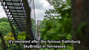 Construction continues on SkyBridge Michigan, world's longest timber-towered suspension bridge