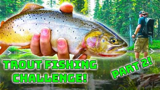 Trout fishing epic backcountry hidden lake | Trout lure challenge PT 2