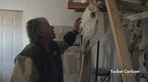 No blood. No brain. No organs. What on earth happened to Snippy the Horse? Our latest documentary is available now on FOX Nation. Get free memberships over at TuckerCarlson.com | Tucker Carlson Tonight