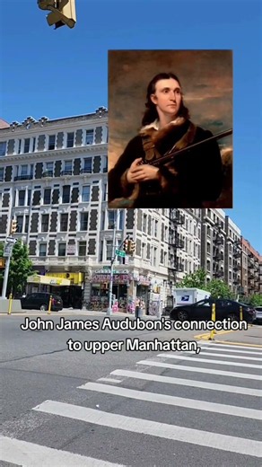 Washington Heights is the best place to birdwatch in NYC